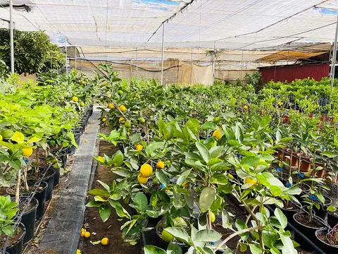 Foto del vivero 38